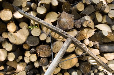 Stacked wood logs and rake clipart