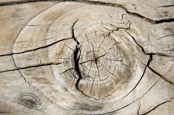 Textura de madeira Knotty — Fotografia de Stock