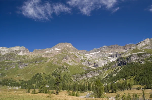 Alpesi nyár táj — Stock Fotó