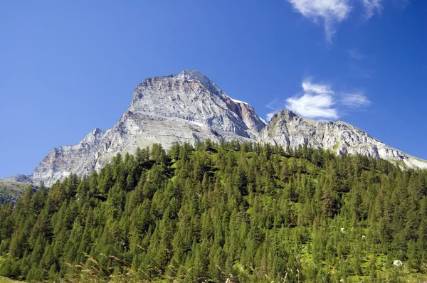 Monte leone lepontine alpen — Stockfoto