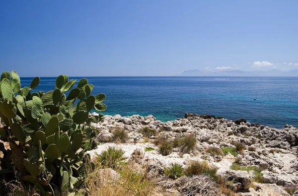 Mediterranean sea and Opuntia — Stock Photo, Image