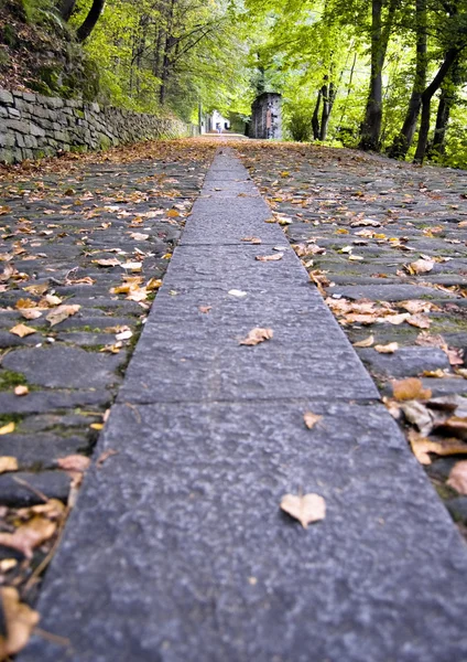 stock image Pathway to autumn