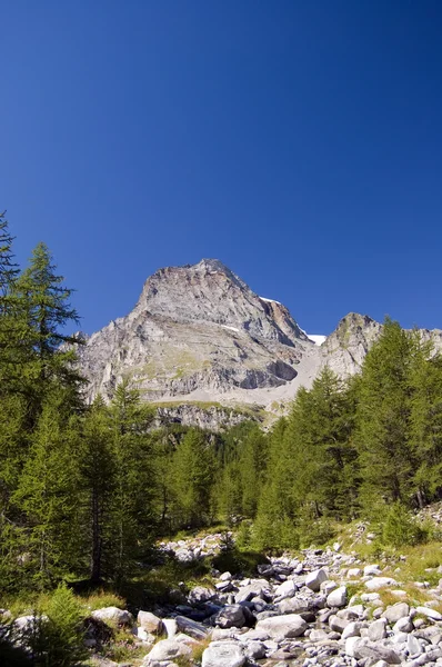 Alpské přírodní ráj — Stock fotografie