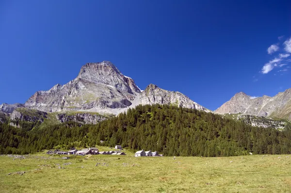 Alp yaz peyzaj — Stok fotoğraf