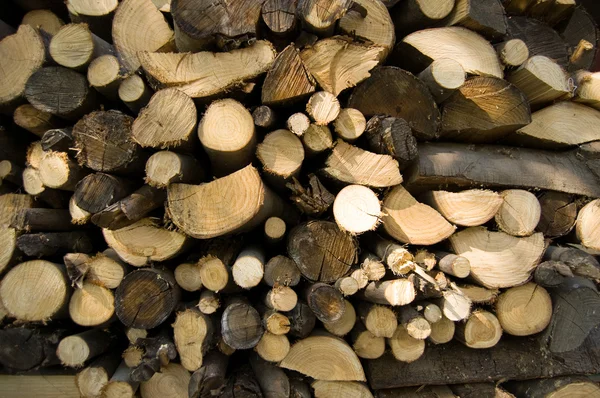 積み上げ木材 — ストック写真