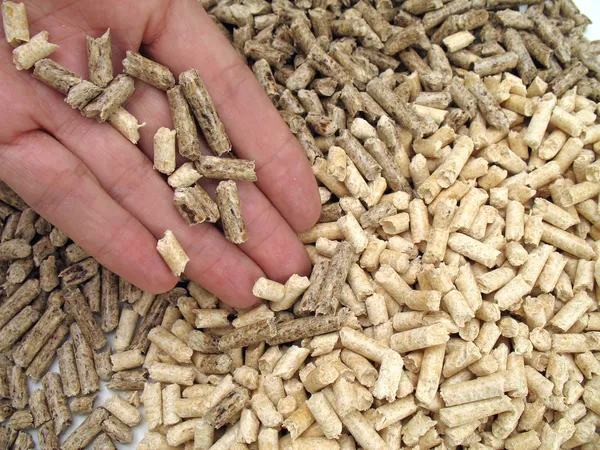 Hand and bi-coloured wood pellets — Stock Photo, Image