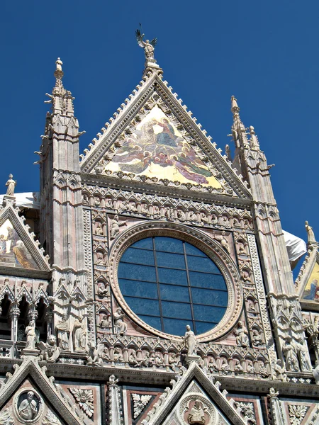 Siena duomo facade — Stock Photo, Image