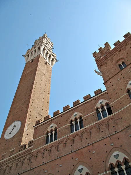 Siena Torre Mangia — Stok fotoğraf