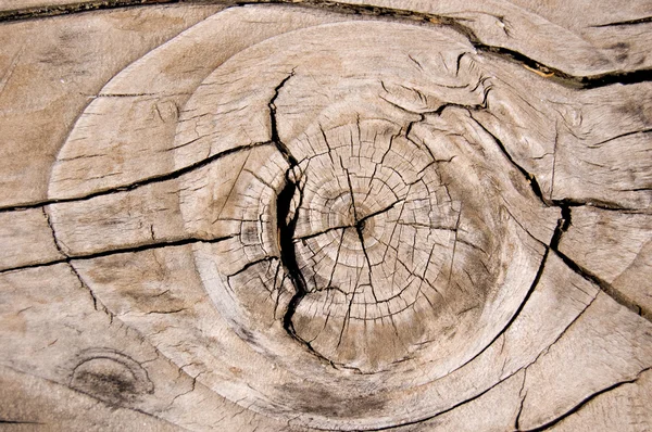 Textura de madera nudosa Imagen de stock