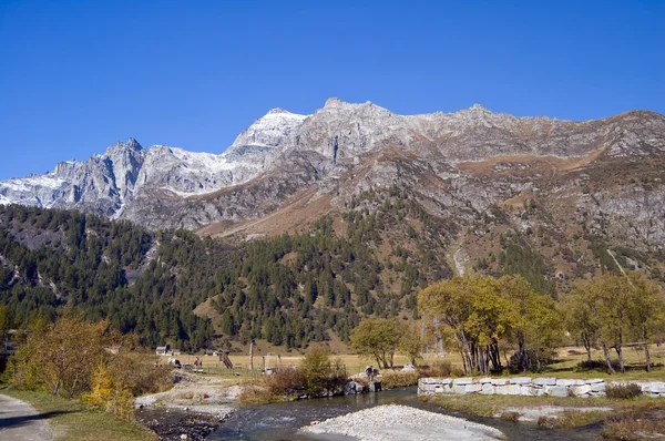 Alpe Devero paisaje alpino — Foto de Stock
