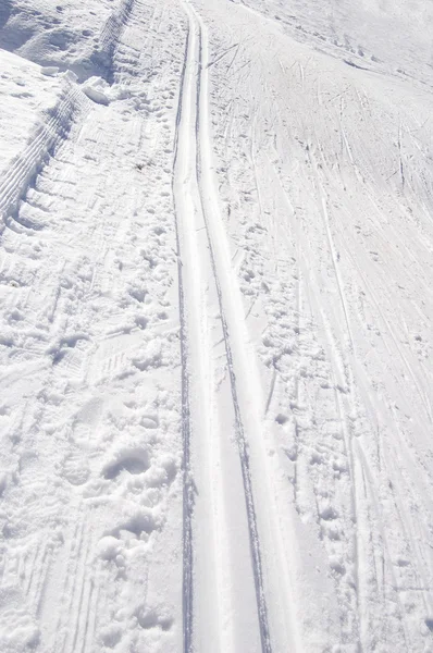 Pistas de esqui cross-country — Fotografia de Stock