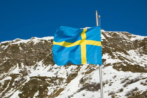 stock image Swedish Flag