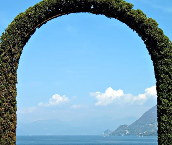 Hedge arch shaped — Stock Photo, Image