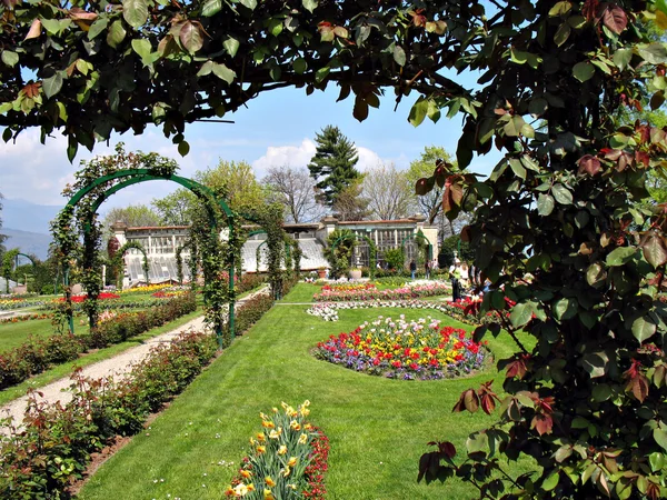 stock image Lake garden