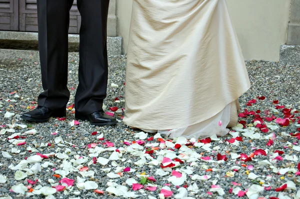 stock image Marriage and roses