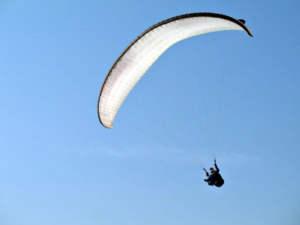 Vit paraglida — Stock fotografie