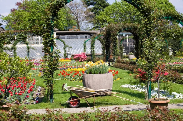 春の時間の園芸 ロイヤリティフリーのストック画像