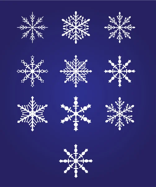 Ten beautiful snowflakes — Stock Vector