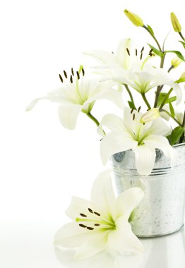 White lily flowers clipart