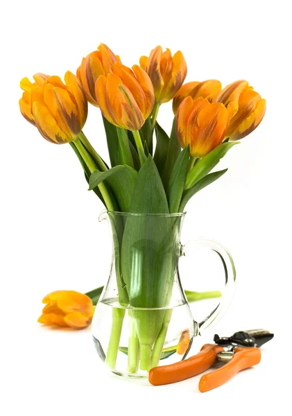 Květiny a nůžky — Stock fotografie