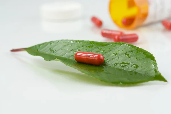 Red pill over a green leaf with some wat — Stock Photo, Image