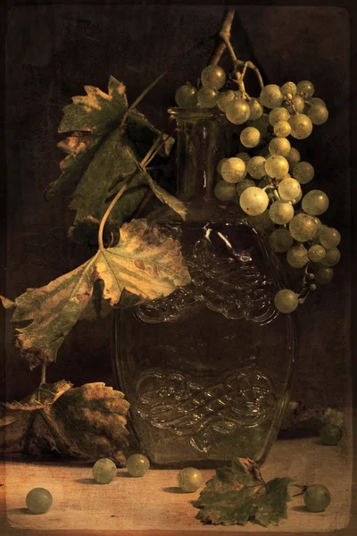 Осенний виноград . — стоковое фото