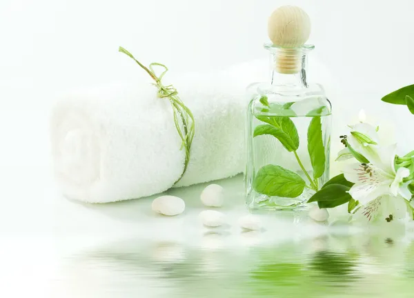 Green and white (SPA concept) — Stock Photo, Image