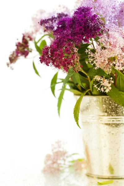 Kacsapástétom virágok — Stock Fotó