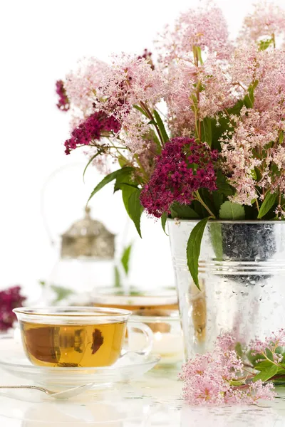 Herbal tea and flowers — Stock Photo, Image