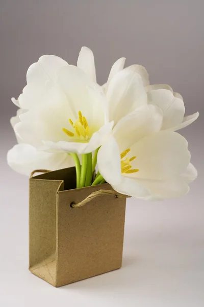 Saco de papel marrom com tulipas — Fotografia de Stock