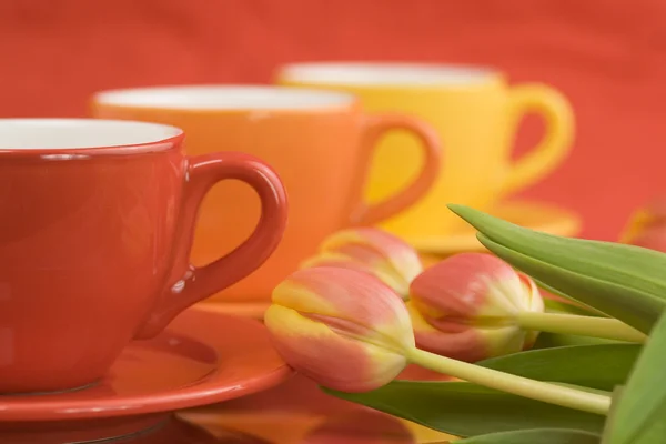 Farbe Kappen und Tulpen — Stockfoto
