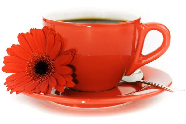 Káva a květina — Stock fotografie