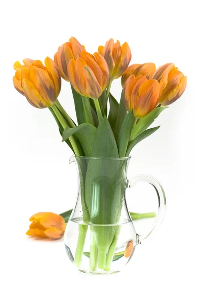 Váza tulipány — Stock fotografie