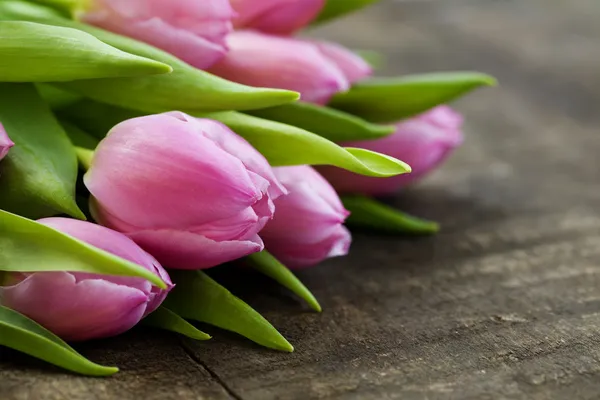 Bouquet of pink tulips Stock Image