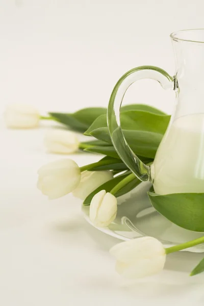 Milk and tulips — Stock Photo, Image