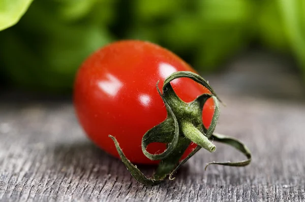 新鲜番茄和罗勒 — 图库照片