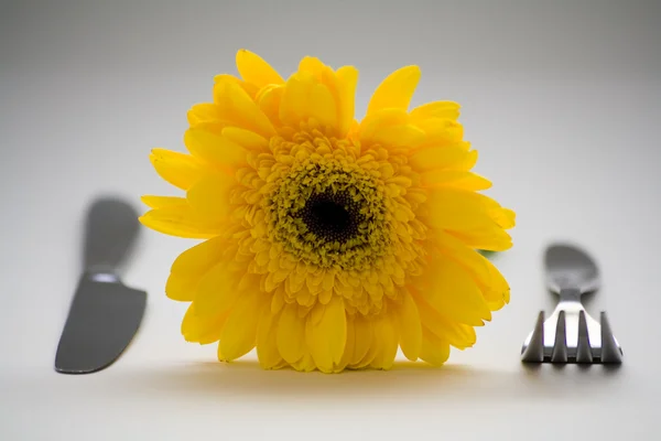 Kniv, gaffel och blomma — Stockfoto