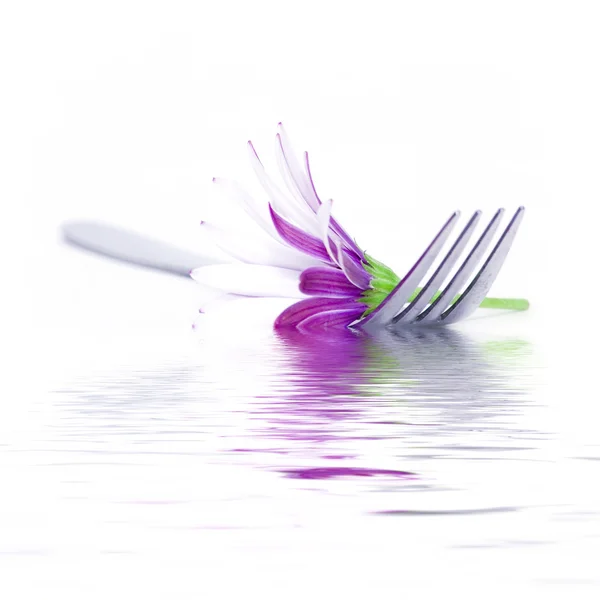 Fork and daisy — Stock Photo, Image