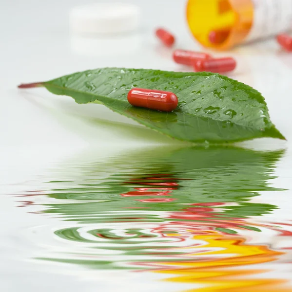 Κόκκινο χάπι πάνω από ένα πράσινο φύλλο με κάποια wat — Φωτογραφία Αρχείου
