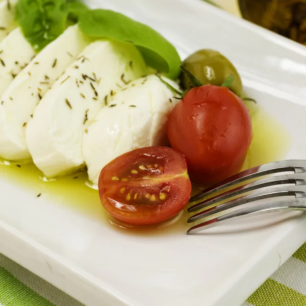 Mozarella tomate italienne close up — Photo
