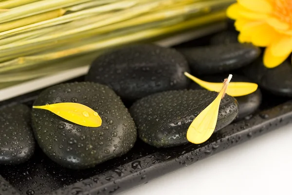Spa setting with pebbles and yellow flow — Stock Photo, Image
