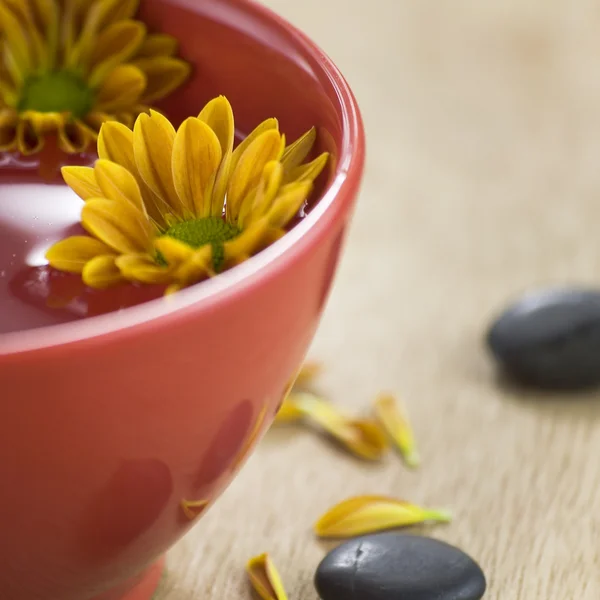 Bowl of water and flowers — Stock Photo, Image