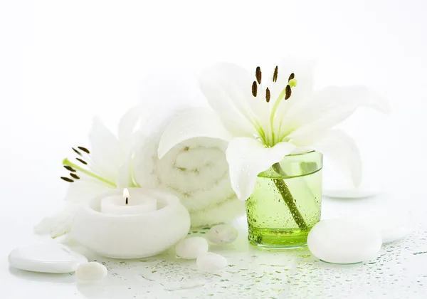 Conceito de spa em verde e branco Imagens Royalty-Free