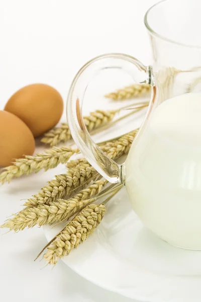 Milk, egg and grain — Stock Photo, Image