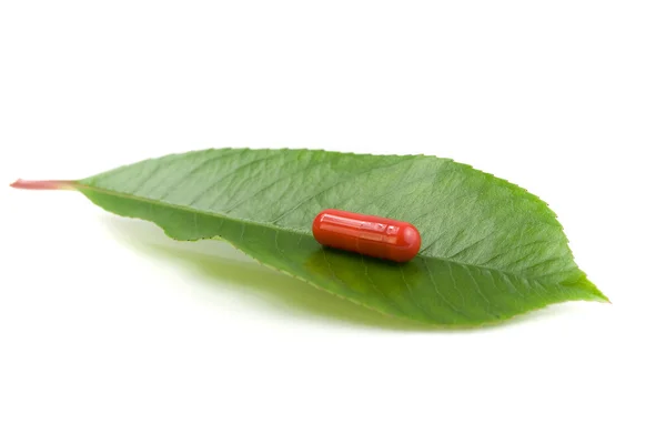 Червона таблетка на зеленому листі — стокове фото