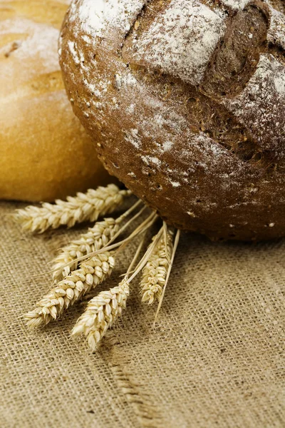 Vete och bröd — Stockfoto