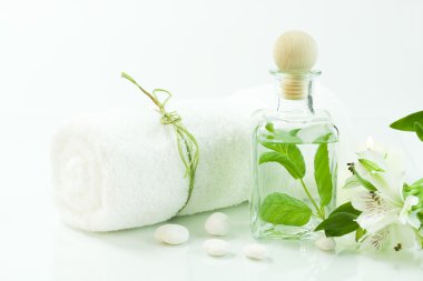 Green and white (SPA concept) clipart