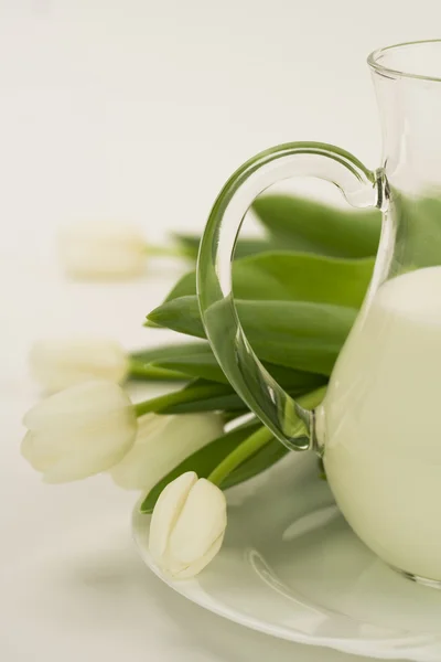 Latte e tulipani — Foto Stock