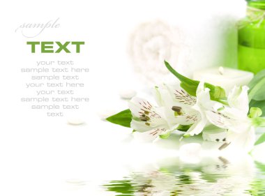 Green and white (SPA concept) clipart