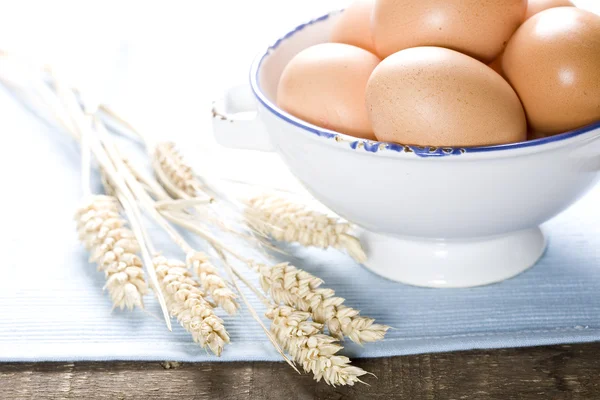 Яйца и пшеница — стоковое фото